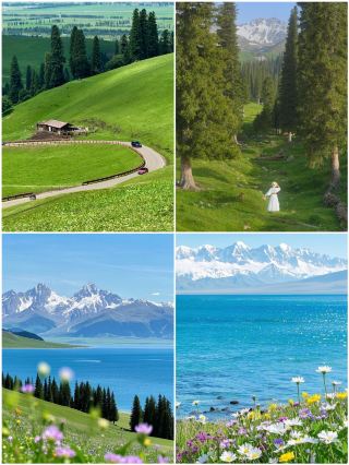 喀納斯湖光山色打卡