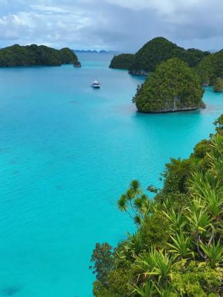 Who understands! The Koror Jellyfish Lake is the real-life "Pandora" 