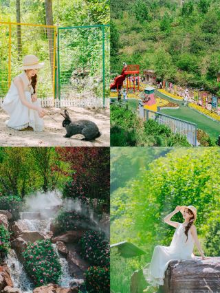 정저우에서 1시간 직행하는 숲속 산소 바 등봉 수묵향산 주말 힐링 가이드