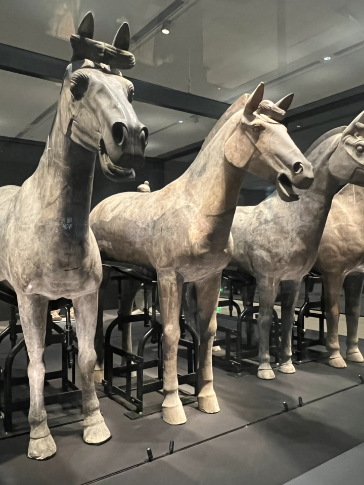 When it comes to the most iconic landmarks of Xi’an (西安), Shaanxi Province (陕西), nothing is more renowned than the Terracotta Army (兵马俑) or the Mausoleum of Qin Shi Huang. As one of China's most significant archaeological sites, it was designated a UNESCO World Heritage site in 1987 (under the name Mausoleum of the First Qin Emperor). 
This subterranean army was forged over 2,200 years ago to protect Qin Shi Huang, the first emperor to unify China. It is believed that a colossal number of warriors, horses, and chariots were buried underground to serve him in the afterlife. The site was stumbled upon entirely by chance in 1974 by local farmers digging a well, ultimately becoming one of the greatest archaeological discoveries in the world.
🚩 The undisputed highlight of the visit is “Pit 1,” the largest of them all. Stepping inside, you're greeted by endless ranks of terracotta warriors stretching as far as the eye can see—a majestic and awe-inspiring sight that truly defies description. Equally mind-blowing is the fact that every single warrior features unique details, from distinct facial expressions and hairstyles to intricate armor, looking almost as if real soldiers were frozen in time over two millennia ago.

🏺 The Main Exhibition Pits
1️⃣ Pit 1
The largest and most iconic pit of the complex.
· Spans over 14,000 square meters
· Houses over 6,000 terracotta warriors
· Formatted as a massive army ready for battle
The moment you walk into the exhibition hall and see the vast army lined up, it makes for an unforgettable experience.
2️⃣ Pit 2
This pit offers much more variety.
· Archers
· Cavalry
· Chariots
· Special forces
Many sections here are still under active excavation and conservation.
3️⃣ Pit 3 (The smallest pit)
Scholars believe this served as the military command center, given the presence of high-ranking officers and a distinct layout compared to the first two pits.

💡 Pro Tips for Visiting
· Get there early in the morning to beat the massive tour groups.
· Plan to spend about 3–4 hours exploring.
· Recommended route: Pit 1 → Pit 3 → Pit 2.
· Rent an audio guide if you want a deep dive into the history.
· Bring plenty of drinking water, especially if you're visiting in the summer.

🚇 Getting There from Downtown Xi’an
(Starting from the Xi’an Bell Tower area)
1. Take Metro Line 6 to Fangzhicheng Station (纺织城).
2. Transfer to Metro Line 9 and get off at Huaqingchi Station (华清池).
3. Exit the station and hop on Bus 613 or a shuttle bus heading straight to the Terracotta Army.
⏱️ Total travel time: Approx. 1–1.5 hours.

✨ Even after 22 centuries, this underground army continues its silent vigil over Emperor Qin Shi Huang's tomb, drawing millions from around the globe to witness the sheer grandeur of ancient Chinese civilization firsthand.
           