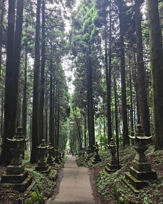 A hidden wonderland in Kyushu! Boating in Takachiho Gorge is incredibly therapeutic