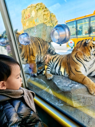 Membawa si mungil "kentang kecil" dari Selatan yang berusia 15 bulan ke Harbin. Kedinginan, tapi sekarang sudah sampai di rumah.