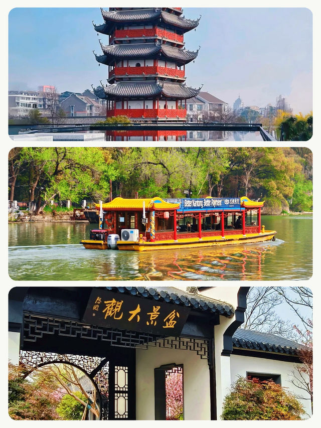 帶爸媽玩城不累攻略,親測省心