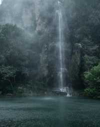 赴一場山谷煙雨,攬一身山林清嵐