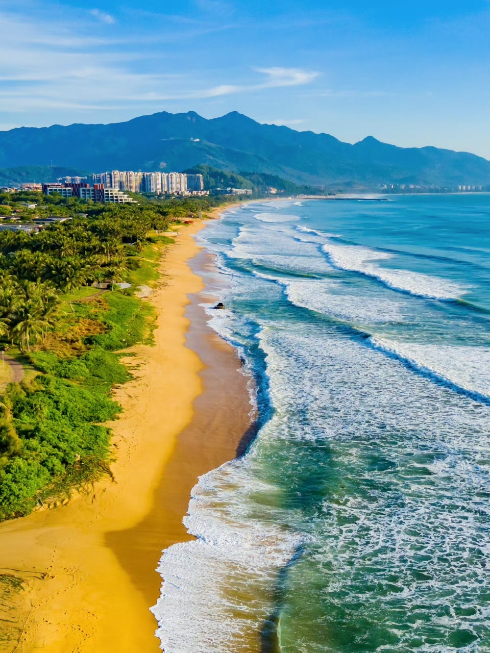 Experience the joy of "ganhai" (seaside foraging)! Come to Lingao, Hainan—it's a must-visit destination!