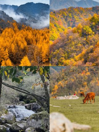 มณฑลฉานซีสวยงามจนน่าทึ่ง! นี่คือ 4 สถานที่ท่องเที่ยวที่ไม่ควรพลาดในฤดูใบไม้ร่วงเดือนตุลาคมและพฤศจิกายน