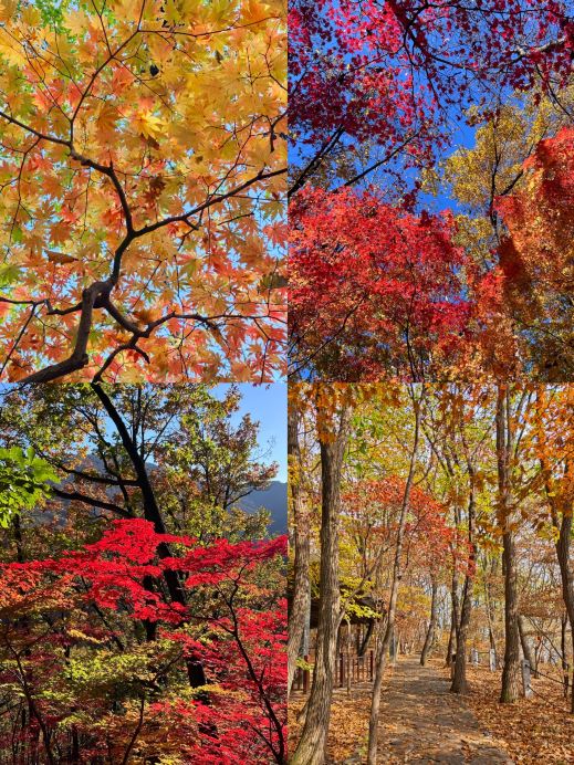 Must-visit short trips in Liaoning: 4 hidden gems for a spontaneous, relaxing getaway