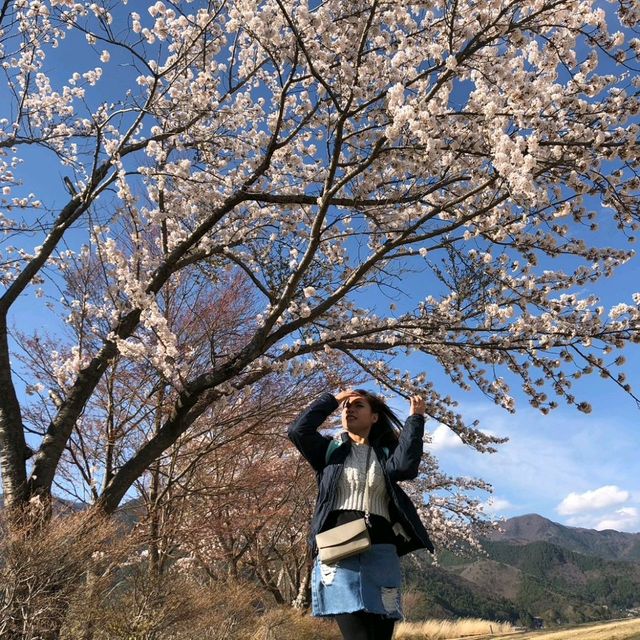 ทะเลสาบคาวากูชิโกะ (Lake Kawaguchiko)​