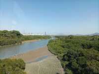 Hong Kong Wetland Park - Wetland and Marshes