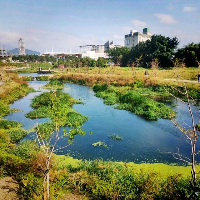 白天傍晚不同的美-雙溪濕地公園