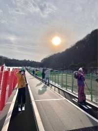 홍천 비발디파크에서 스키 즐기기!⛷️