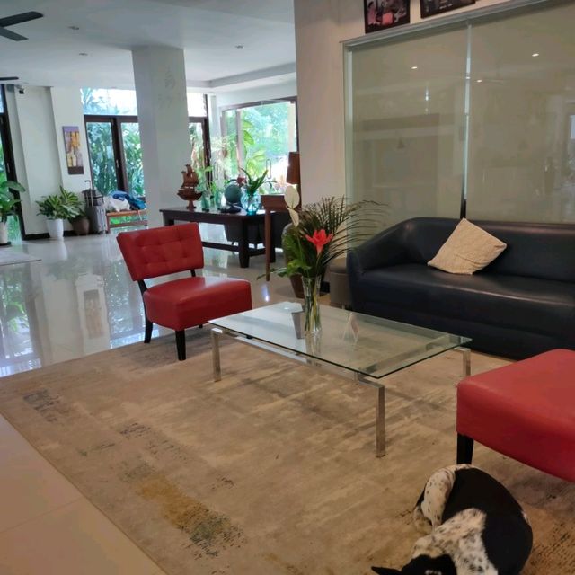 🇱🇦ラオス ヴァンヴィエン【Silver Naga Hotel】立地、部屋からの景色、ホスピタリティが最高!!