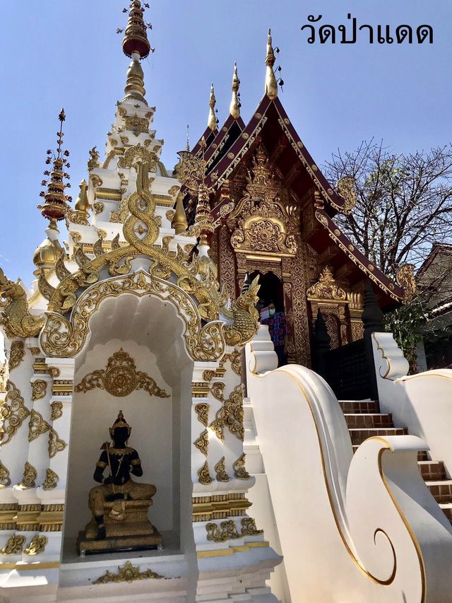 วัดป่าแดด
