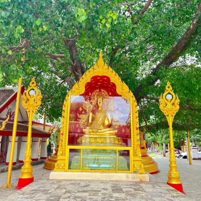 วัดพระธาตุพนมวรมหาวิหาร 🙏🏻