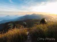 馬鞍山昂坪高原