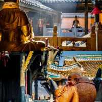 唐代絕美古剎靈鷹寺