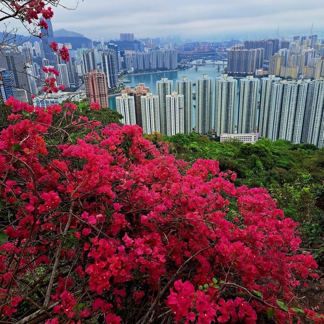 行山行山