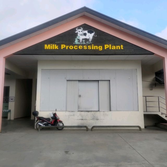 The One & Only Borneo New Zealand