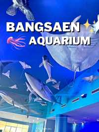 เที่ยวอควาเรียมสุดฮิตในบางแสน ✨🐋
