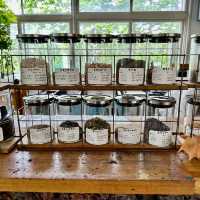 【北海道/利尻】離島のオシャレなコワーキングカフェ「サキノバ」