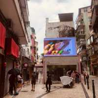 ARRAIAL NA ERVANÁRIOS PRESENTS 3D CAT VIDEOS