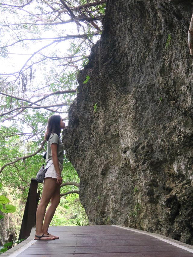小琉球隱藏的原始森林🌳《山豬溝》