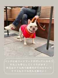 【渋谷】わんこと行けるおしゃれテラス☕️