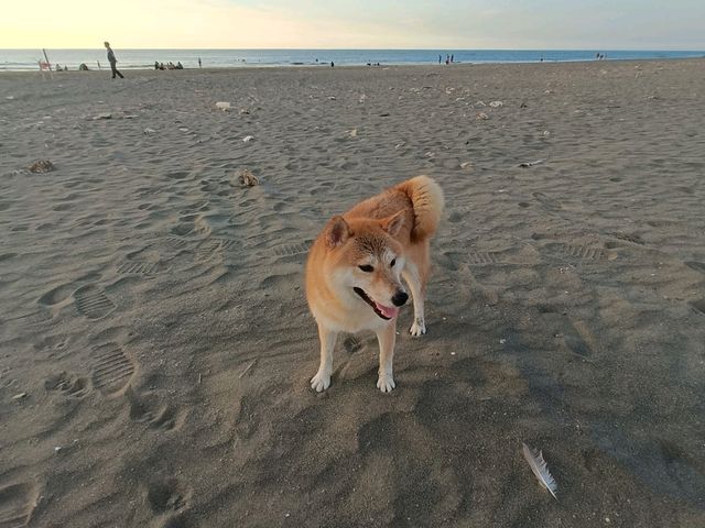 觀音濱海遊憩區