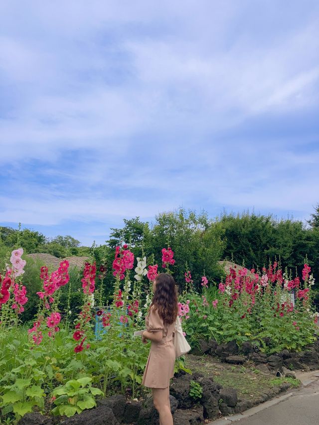 서귀포 여름꽃 다양하게 만날 수 있는 ‘제주민속촌’