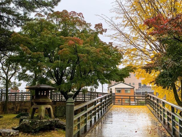 ปราสาทโอคะซะกิ (Okazaki Castle)🏯