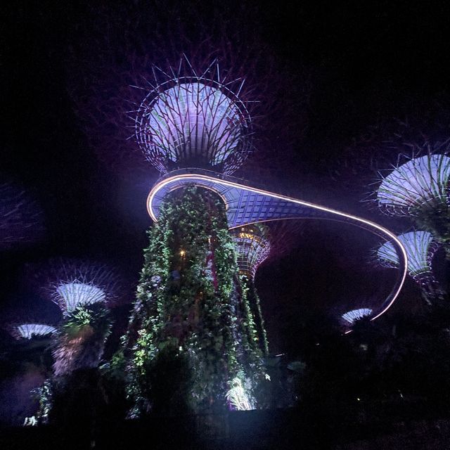 ガーデンラプソディー🌲✨