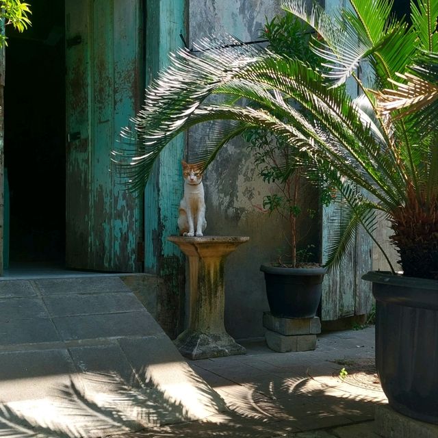 Exploring the Timeless Charm of Semarang Old City