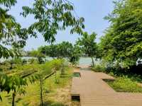 คาเฟ่ริมน้ำ+การเรียนรู้เชิงวนเกษตร อัมพวา