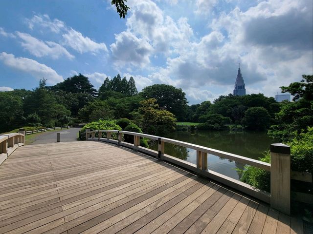 東京繁忙大都市内的美麗綠洲