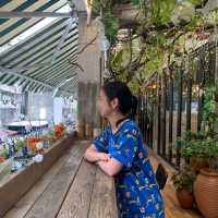 澳門隱世樓上秘密花園 