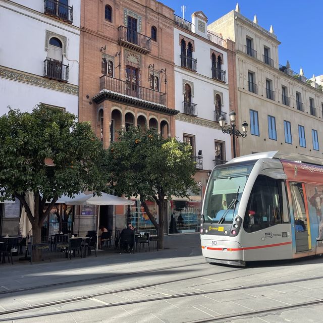 Orange you glad you went to Seville? 🍊 