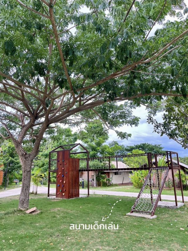 นอนชิวริมแม่น้ำแก่งกระจานที่ The Tree Resort🌳