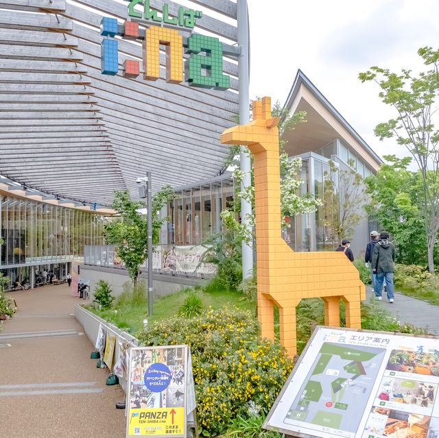 【大阪】都会の芝生！てんしば！