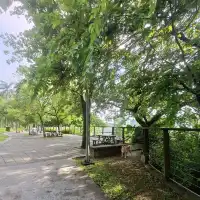 大溪中正公園