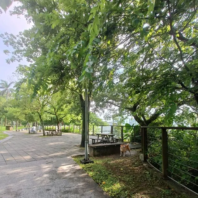 大溪中正公園
