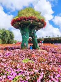 The Colorful Fresh Garden Da Lat 🌺