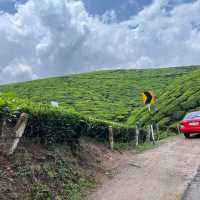 Munnar - Switzerland of India 🇮🇳 