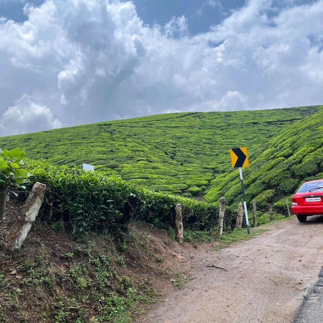 Munnar - Switzerland of India 🇮🇳 