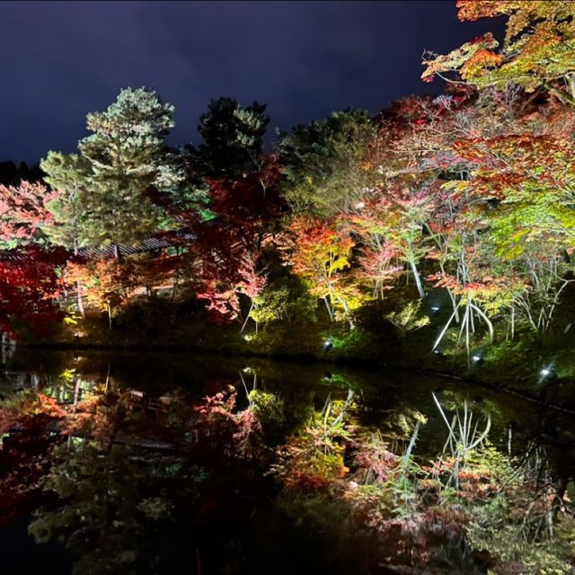 【京都】秀吉ゆかりの寺、高台寺のライトアップ