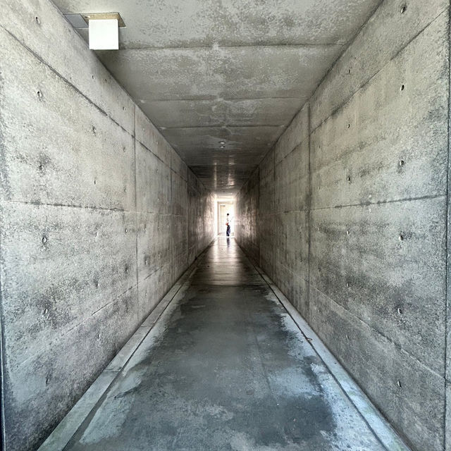 【香川】直島の人気美術館！地中美術館🎨