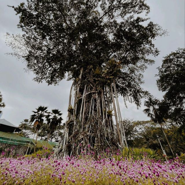 Perdana Botanical Garden, Kuala Lumpur