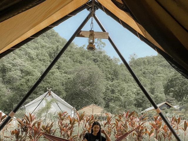 Mont Blanc Glamping ที่พักเขาใหญ่สไตส์แคมป์ปิ้ง 🏕