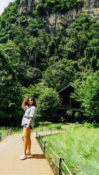 Into the forest จ.กระบี่