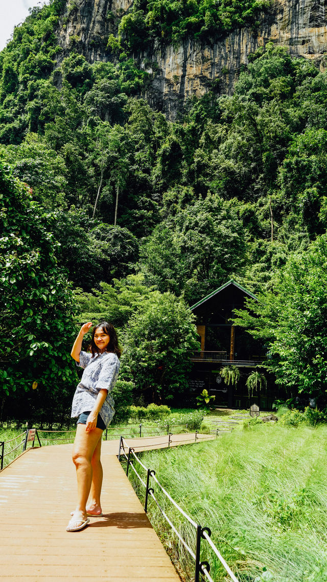 Into the forest จ.กระบี่