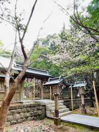 【静岡県/伊古奈比咩命神社】伊豆最古の神社と白浜海岸
